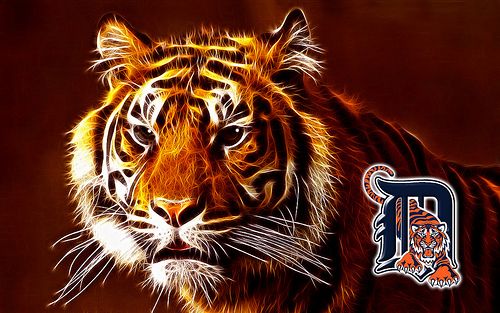 Animation of Detroit Tiger